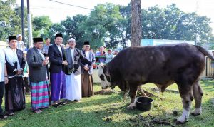 WhatsApp Image 2023-07-18 at 14.23.04