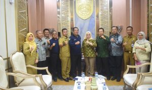 WhatsApp Image 2025-11-11 at 17.03.33